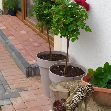 Przy Trojstyku Dubeninki