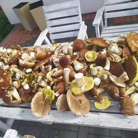 Przy Trojstyku Vakantieboerderij Dubeninki