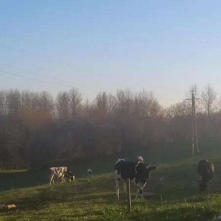 Séjour à la ferme Przy Trojstyku *