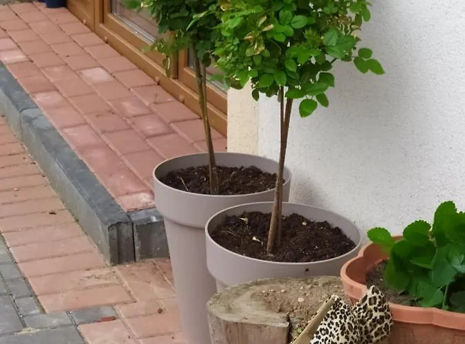 Przy Trojstyku Dubeninki