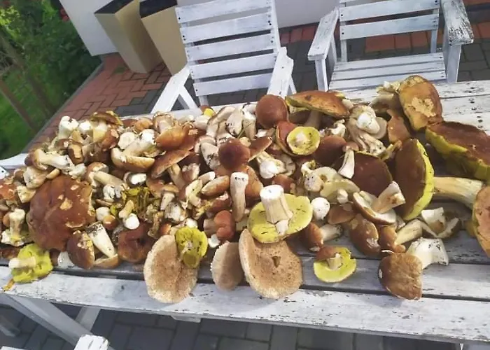 Przy Trojstyku Vakantieboerderij Dubeninki