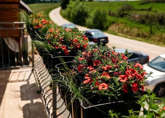 Przy Trojstyku Dubeninki